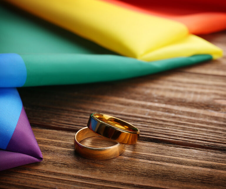 Same Sex Wedding Engagement Rings Gay And Lesbian Rings