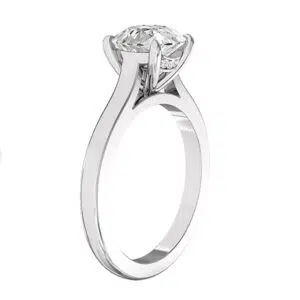 Hidden Diamond Halo Round Solitaire Engagement Ring w2