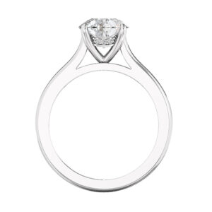 Hidden Diamond Halo Round Solitaire Engagement Ring w3