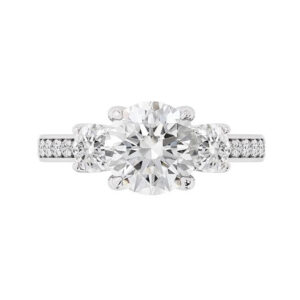 Petal Set Round Three Stone Engagement Ring