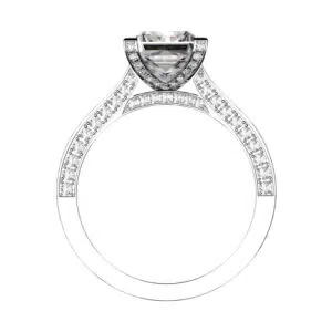 Princess Cut Engagement Ring with Diamond Encrusted Band 3