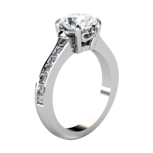 Round Diamond Engagement Ring with Princess Cut Diamond Band 2