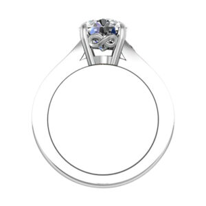 Round Diamond Engagement Ring with Princess Cut Diamond Band 3