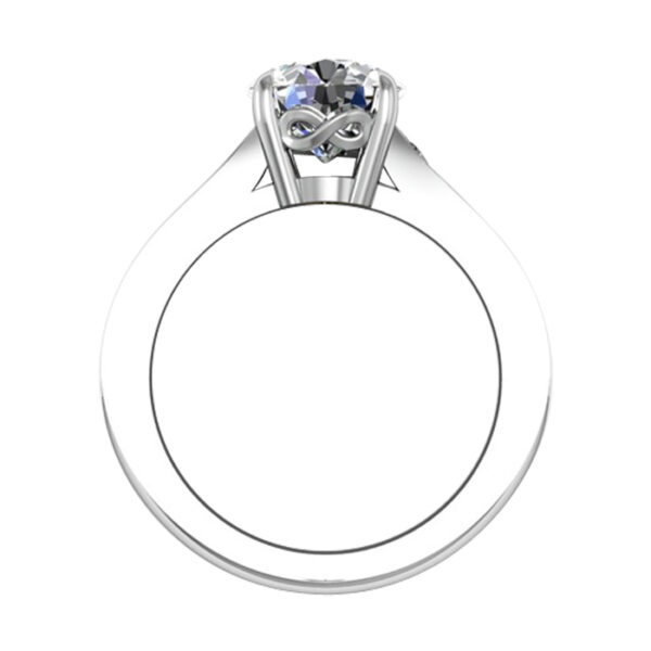 Round Diamond Engagement Ring with Princess Cut Diamond Band 3