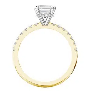 emerald cut engageent ring front view