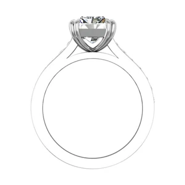 Double Prong Emerald Cut Ring with Channel Set Band 3