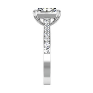 Double Prong Emerald Cut Ring with Channel Set Band 4