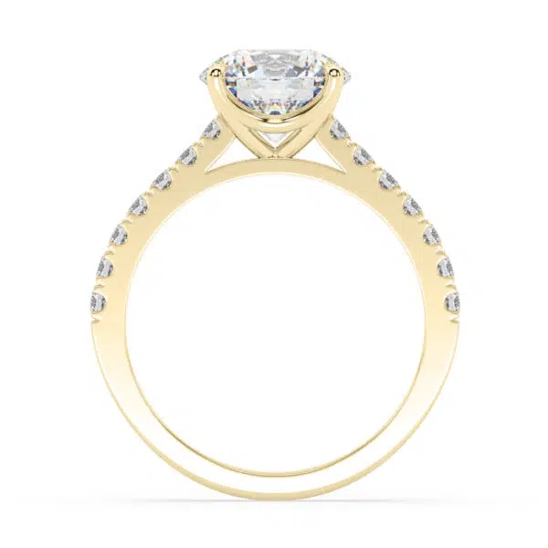 classic round cut diamond with diamond band 2